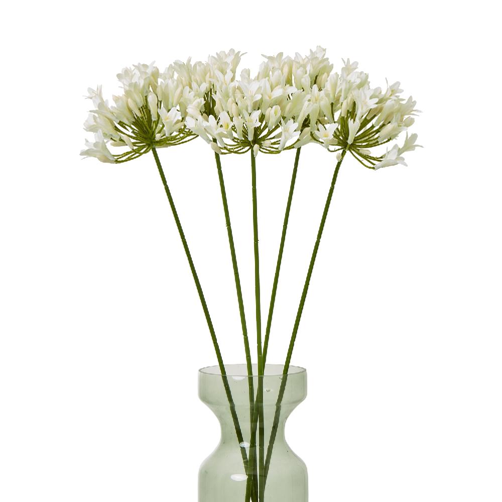 Hill Interiors Cream Agapanthus Spray