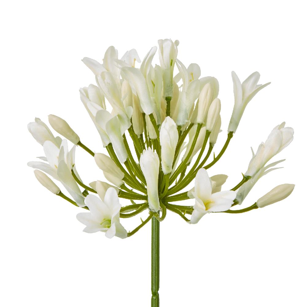 hill interiors Cream Agapanthus Spray