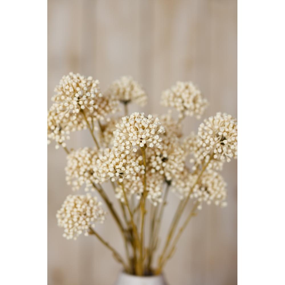 Hill Interiors Cream Allium Spray