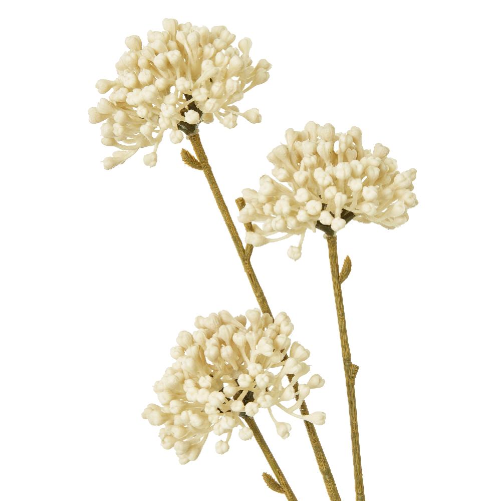 hill interiors Cream Allium Spray