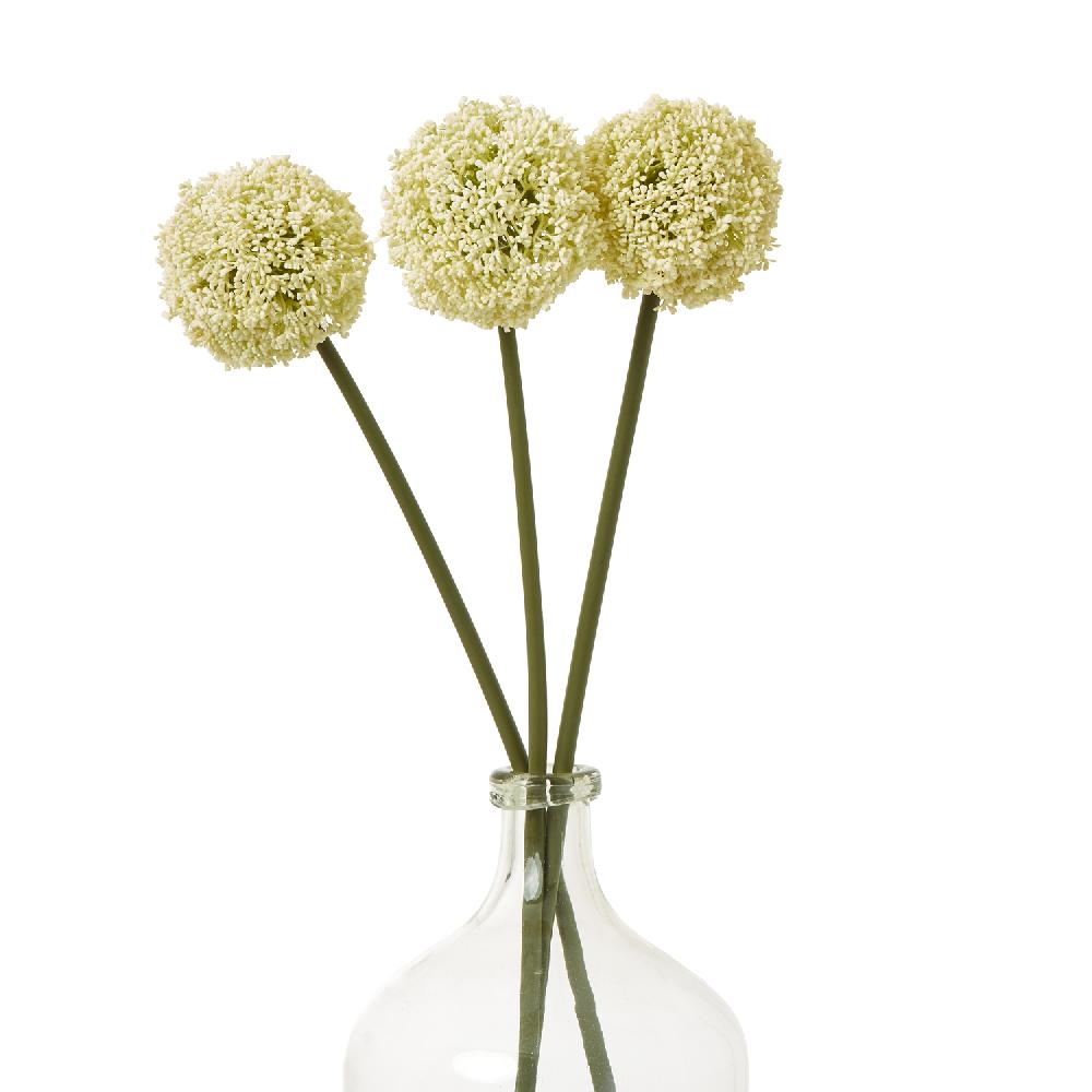Hill Interiors Cream Allium Stem