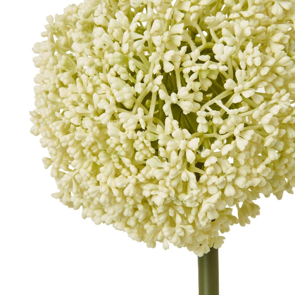 hill interiors Cream Allium Stem