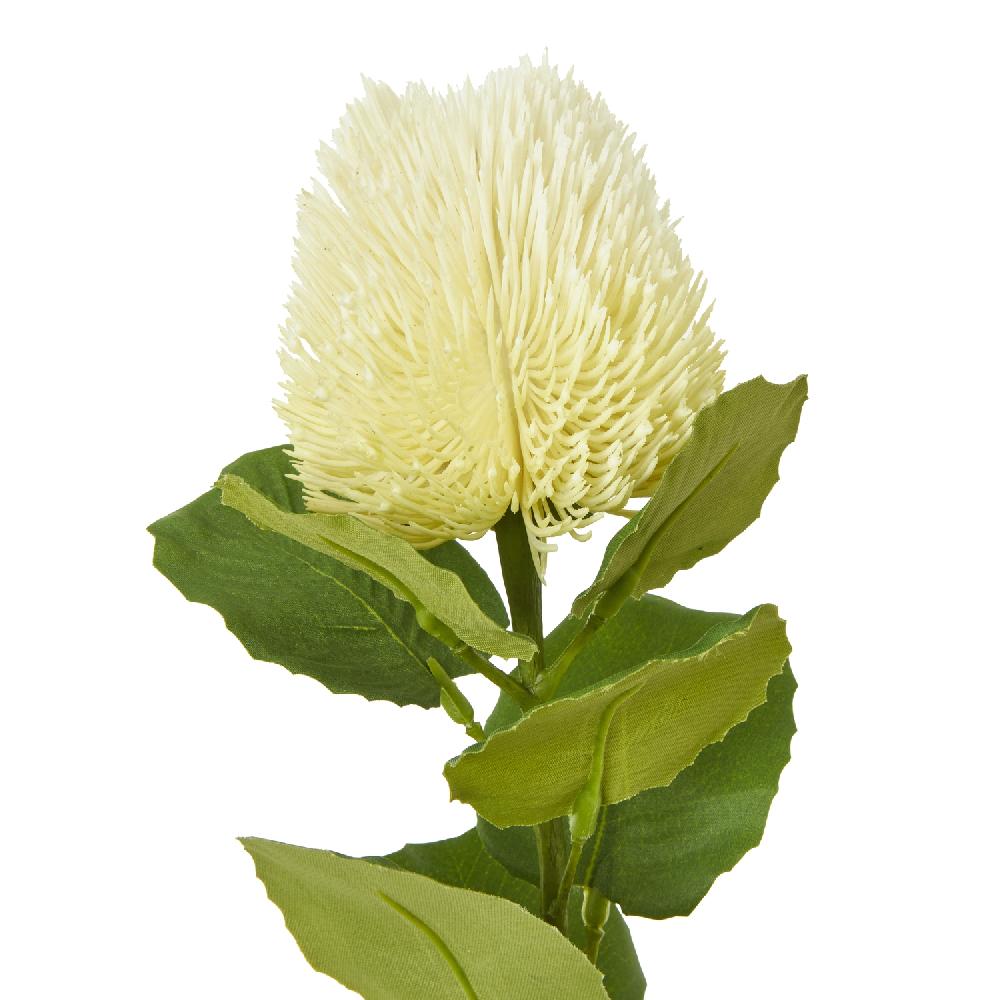 hill interiors Cream Banksia Stem
