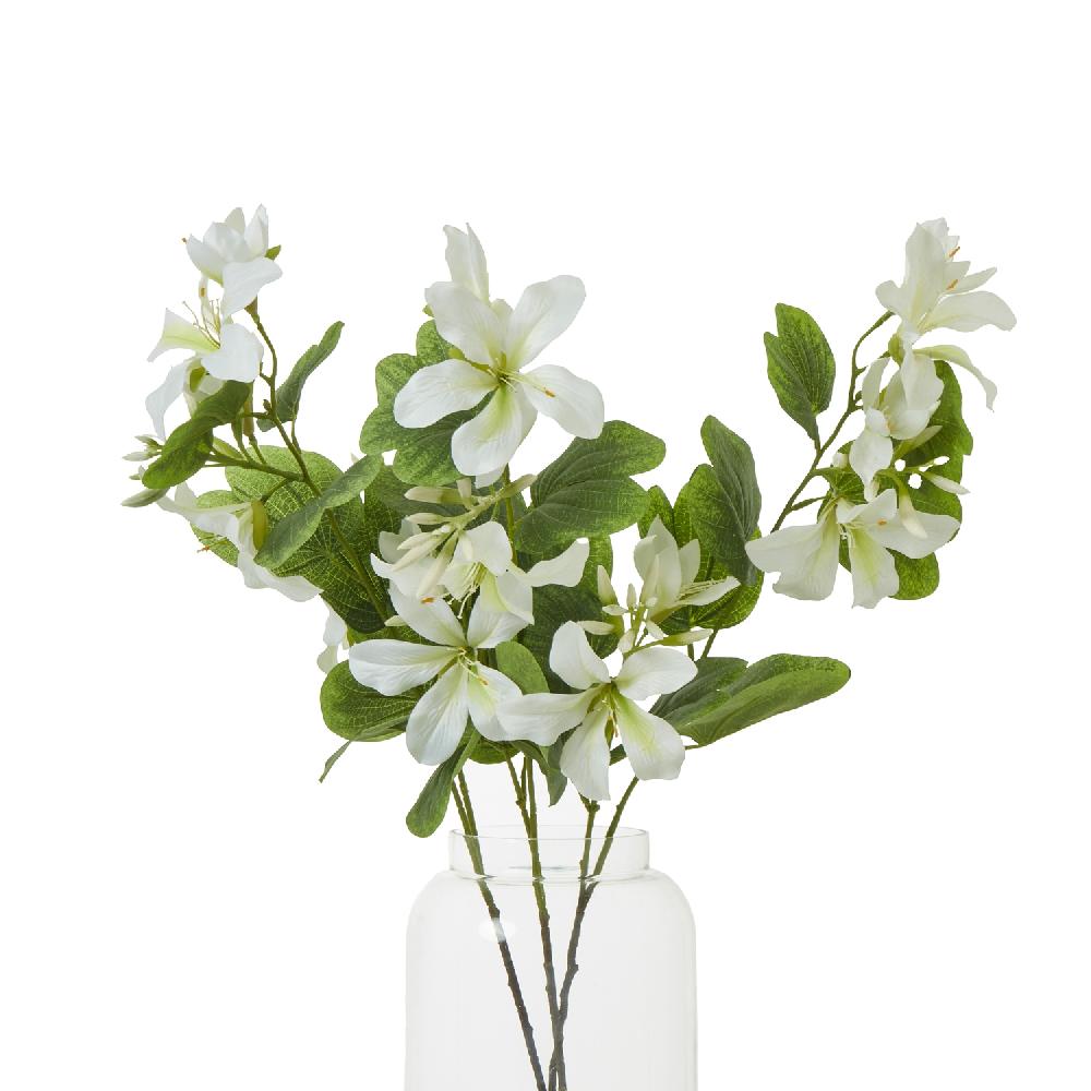 Hill Interiors Cream Bauhinia Orchid Spray