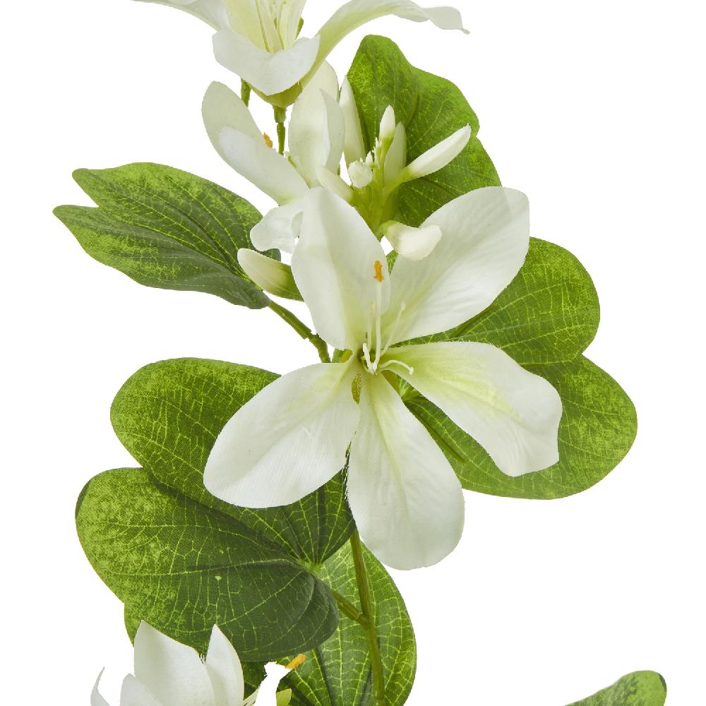 hill interiors Cream Bauhinia Orchid Spray