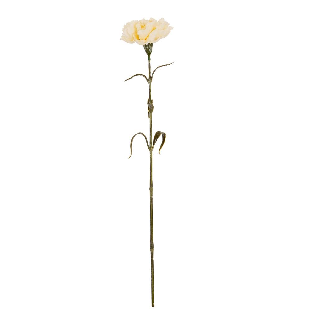 hill interiors Cream Carnation Stem