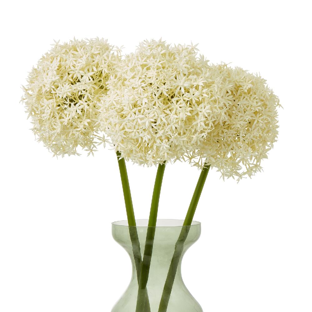 Hill Interiors Cream Giant Allium Stem