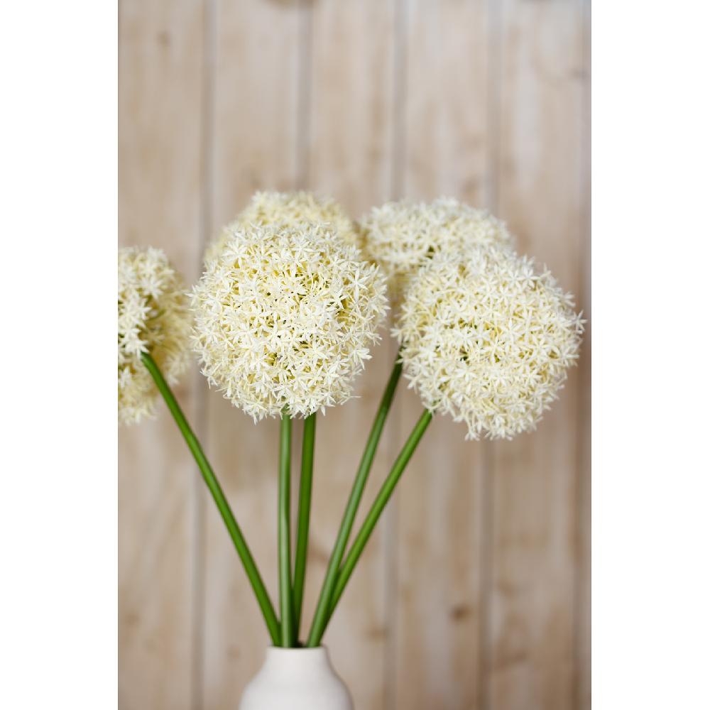 Hill Interiors Cream Giant Allium Stem