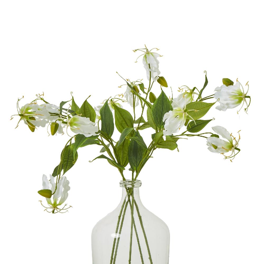 Hill Interiors Cream Gloriosa Spray