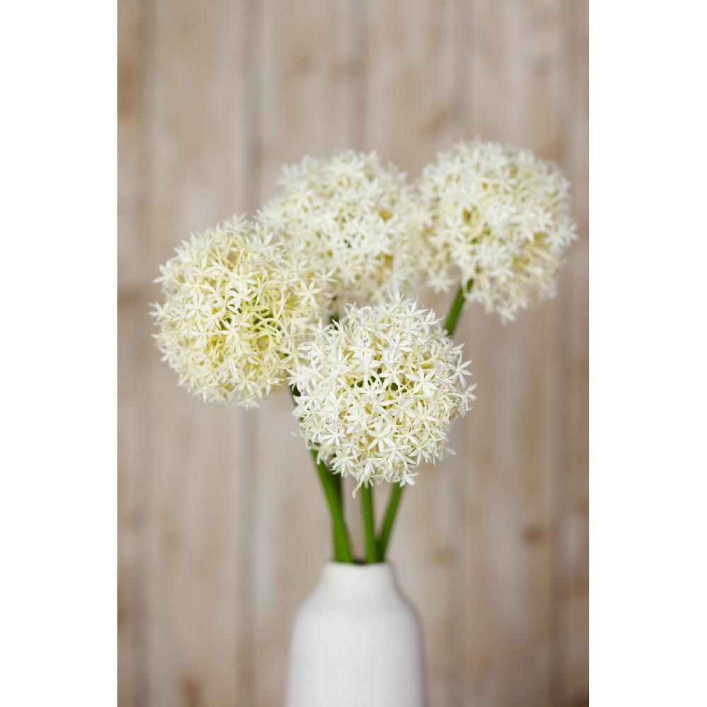 Hill Interiors Cream Medium Allium Stem