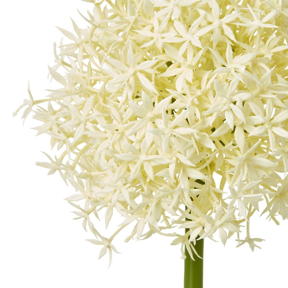 hill interiors Cream Medium Allium Stem