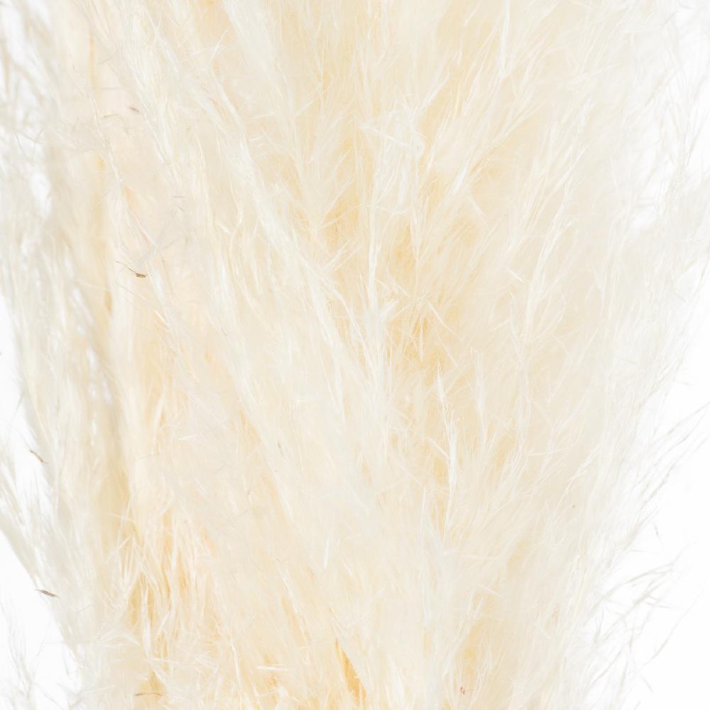 Hill Interiors Cream Pampas Grass Stem