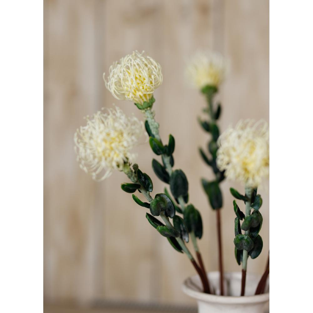 Hill Interiors Cream Pincushion Protea Spray