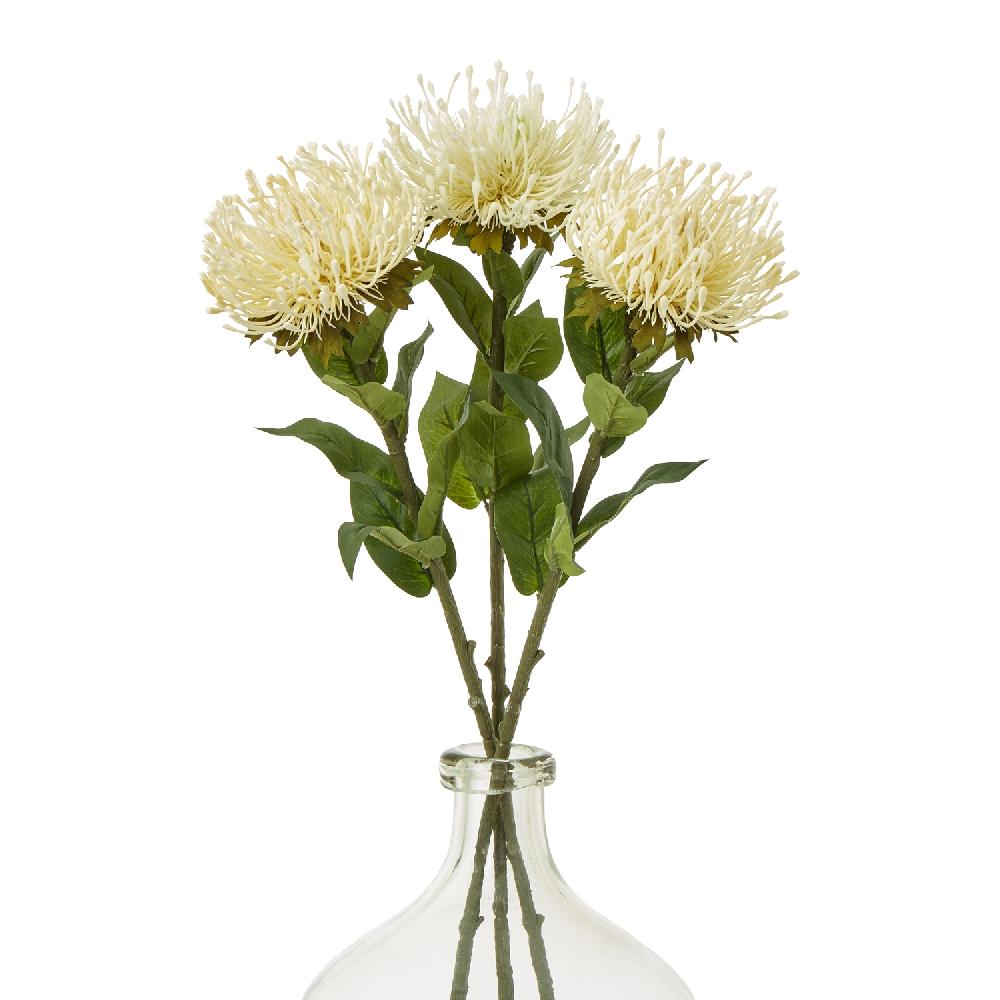 Hill Interiors Cream Protea Lorea Stem