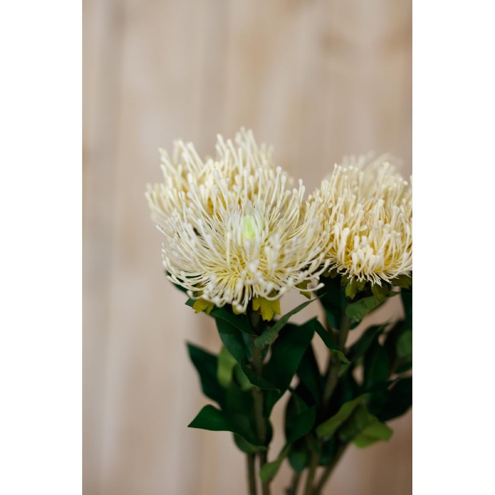 Hill Interiors Cream Protea Lorea Stem