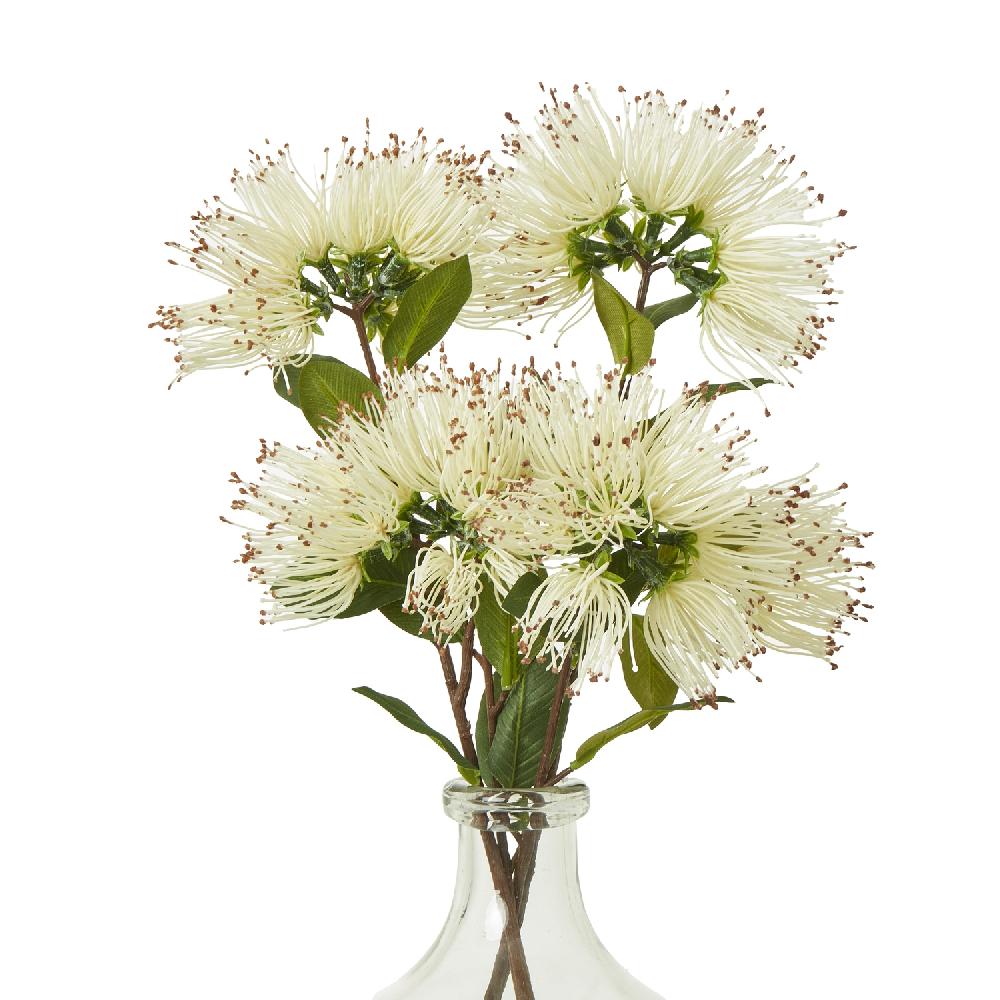 Hill Interiors Cream Protea Nitida Spray
