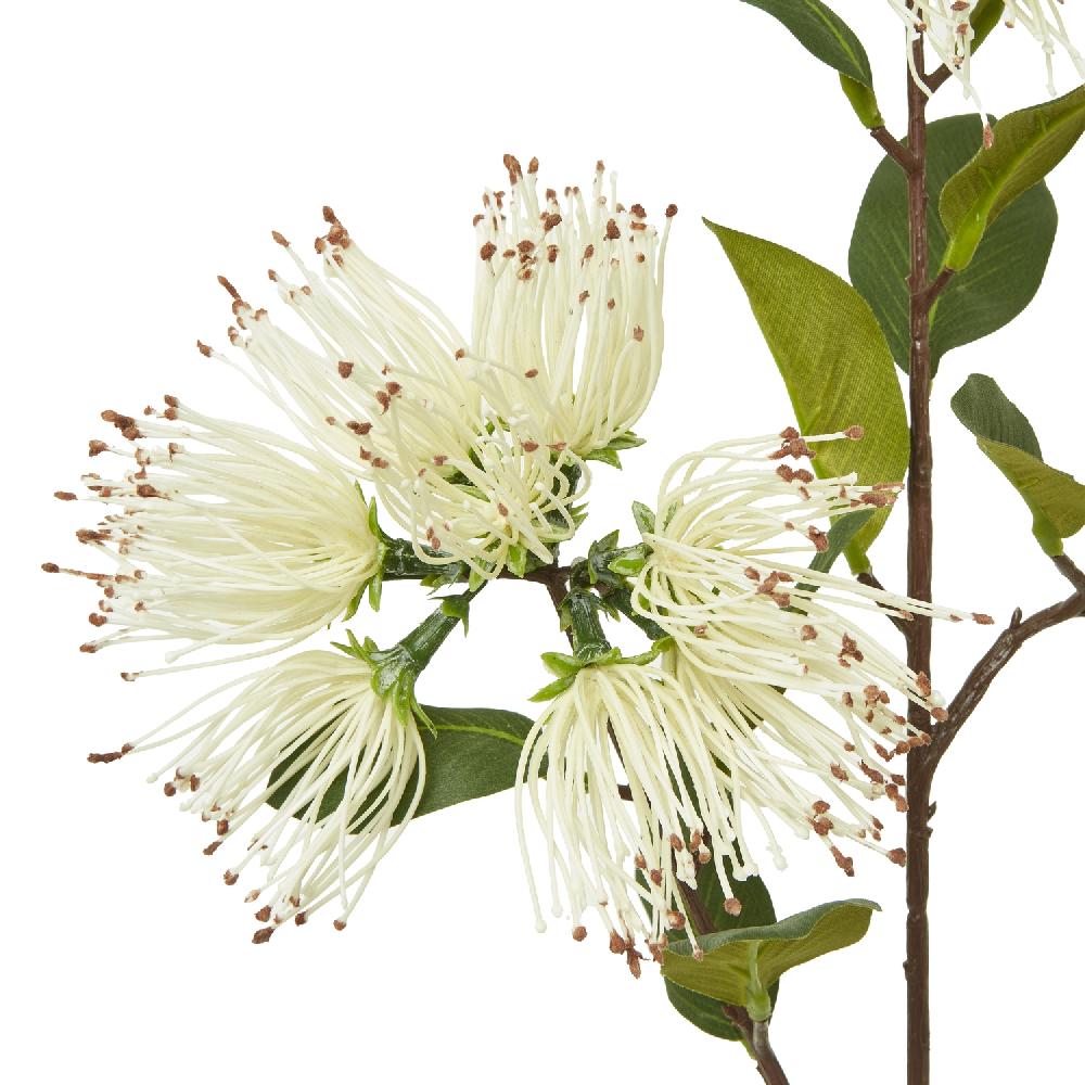 hill interiors Cream Protea Nitida Spray