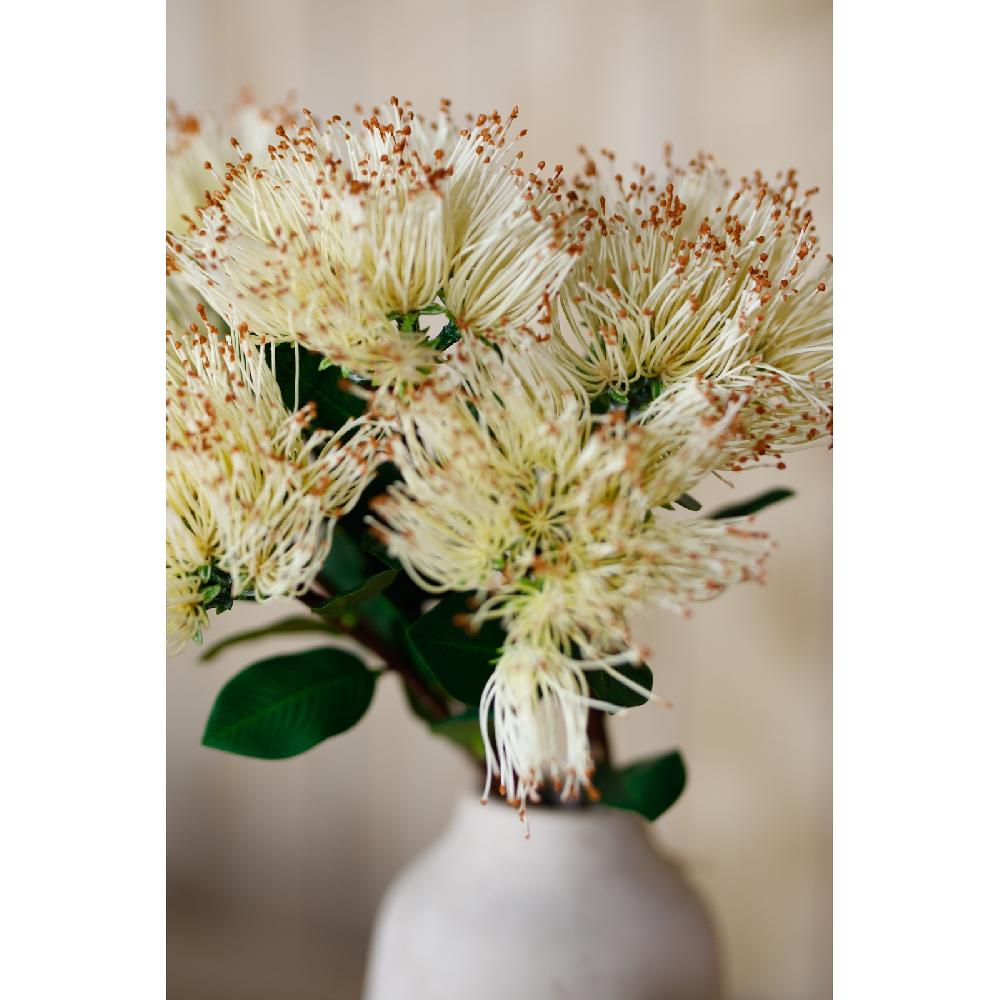 Hill Interiors Cream Protea Nitida Stem