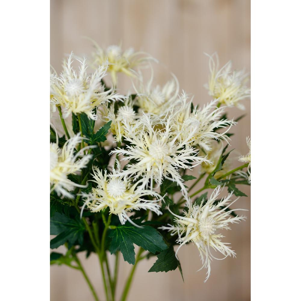 Hill Interiors Cream Sea Holly Spray
