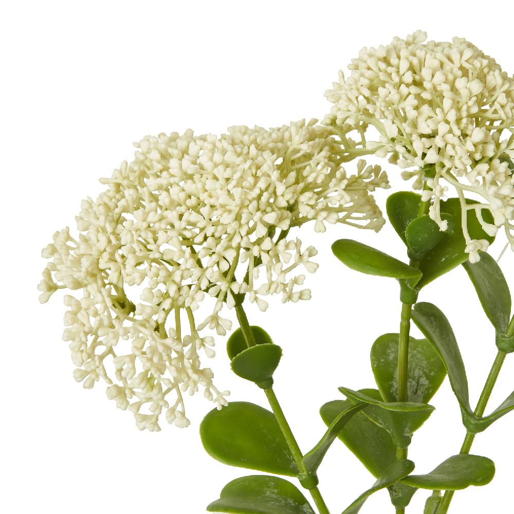 hill interiors Cream Sedum Spray