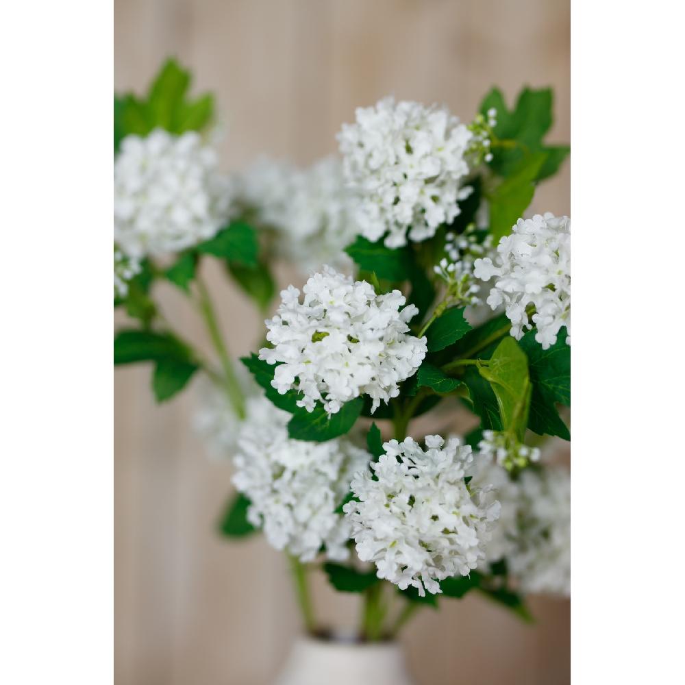 Hill Interiors Cream Snowball Viburnum Spray