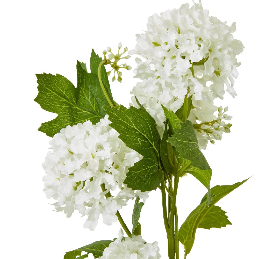 hill interiors Cream Snowball Viburnum Spray
