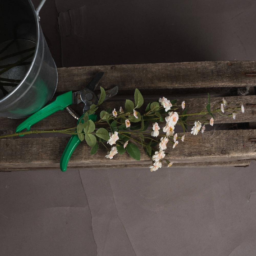 hill interiors Cream Wild Meadow Rose