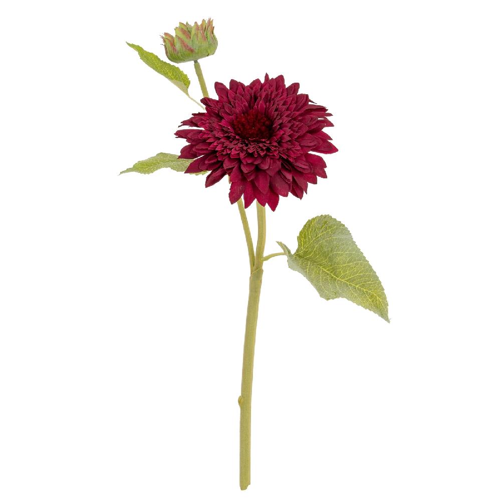 hill interiors Dahlia Burgundy Raven Stem