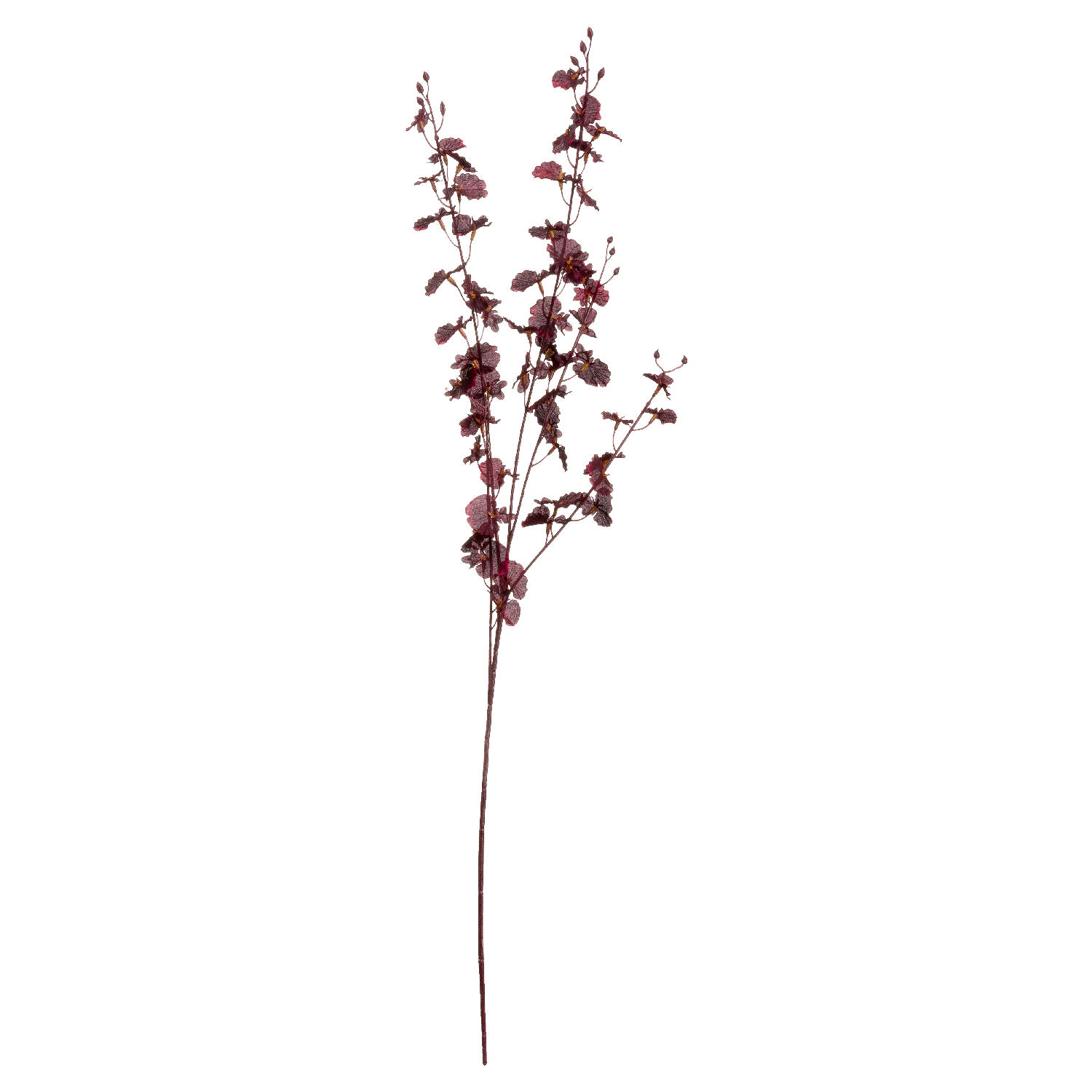 hill interiors Deep Burgundy Orchid Spray