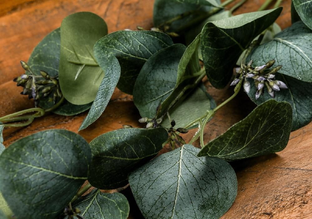 Hill Interiors Eucalyptus Stem Spray