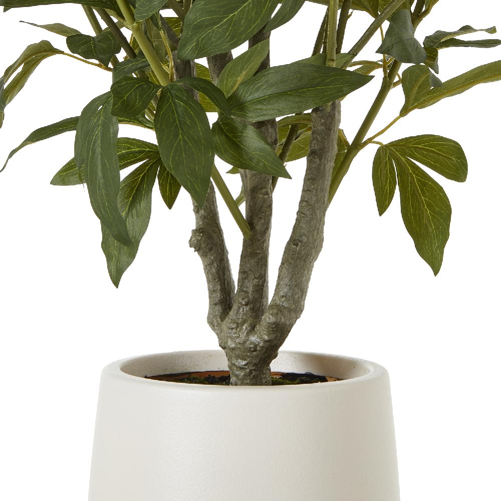 Hill Interiors Extra Large White Peony Bush In Pot