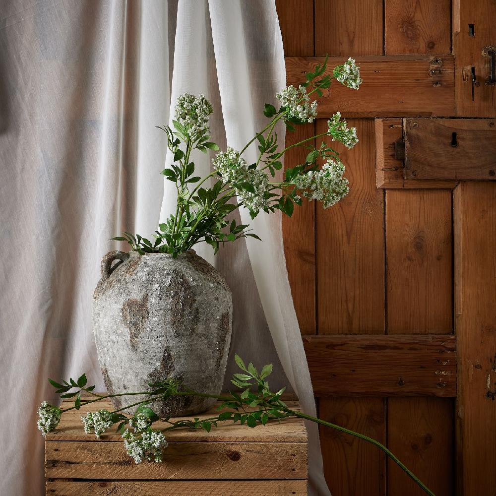 Hill Interiors Faux White Cow Parsley Ammi