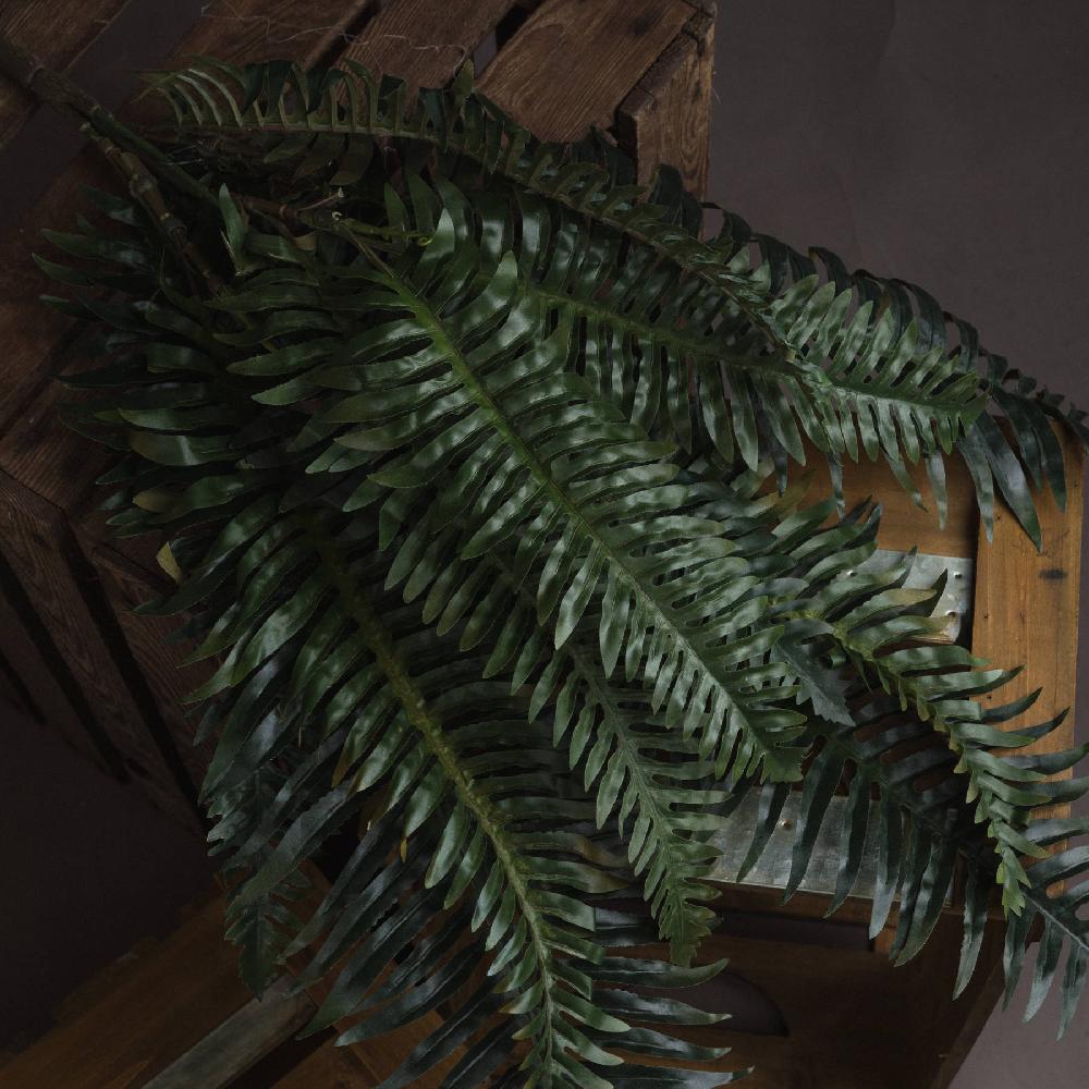 hill interiors Fern Bunch