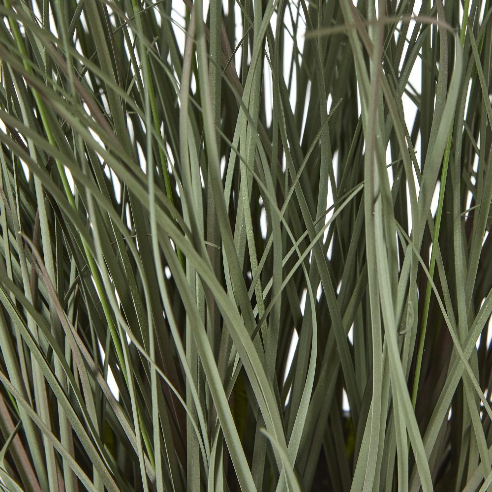 Hill Interiors Fountain Grass Plant In Pot