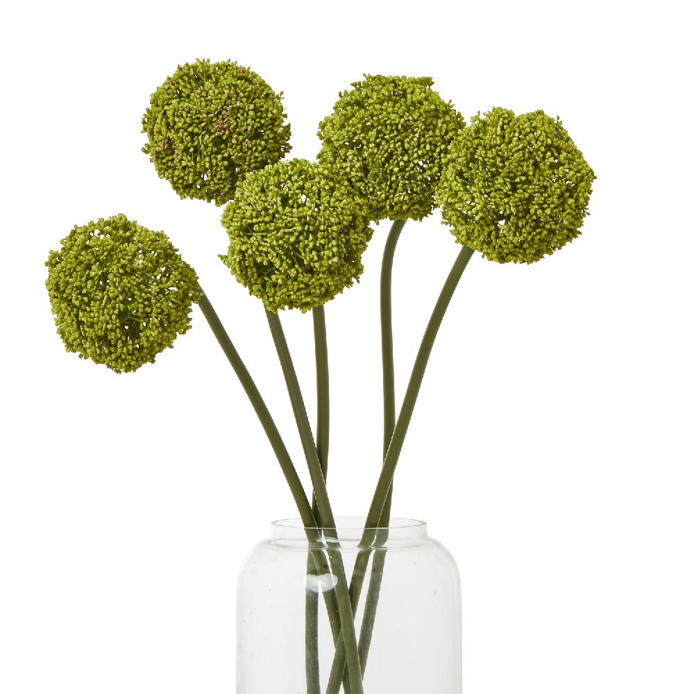 Hill Interiors Green Allium Stem