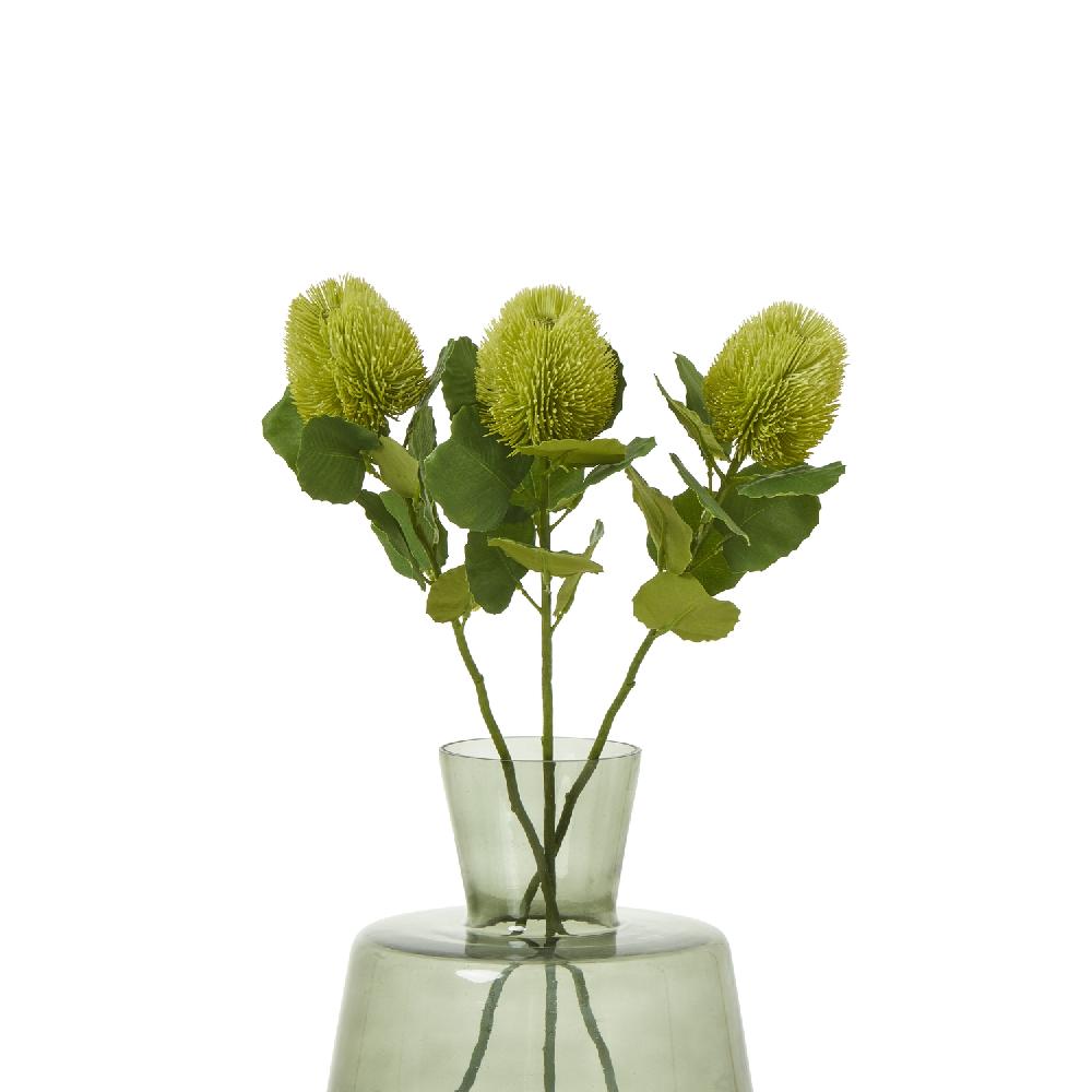 Hill Interiors Green Banksia Stem