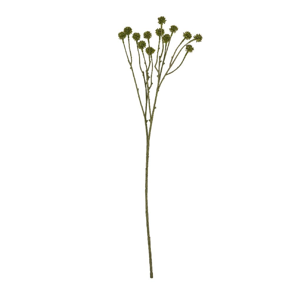 Hill Interiors Green Craspedia Stem