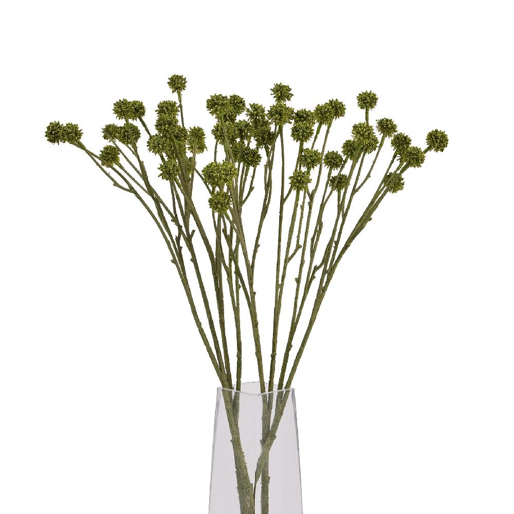 Hill Interiors Green Craspedia Stem