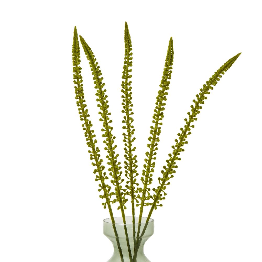 Hill Interiors Green Eremurus Stem