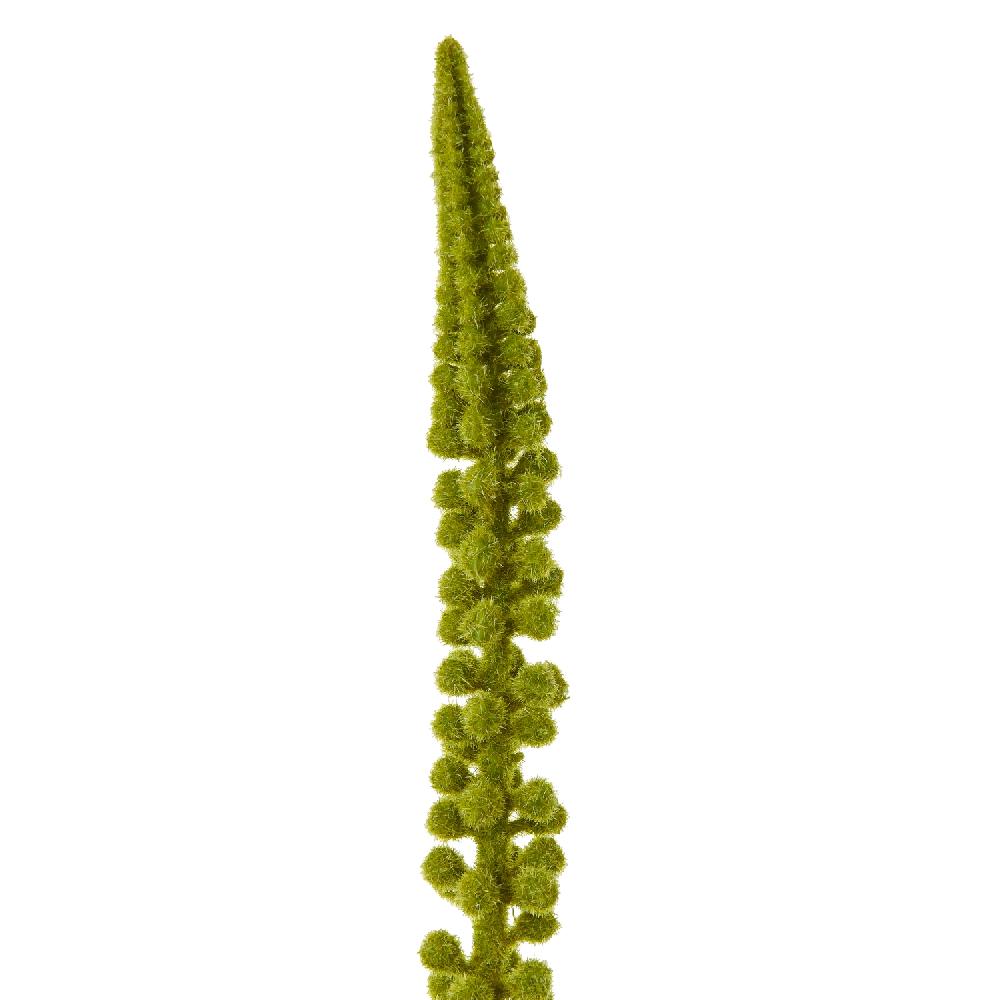 hill interiors Green Eremurus Stem