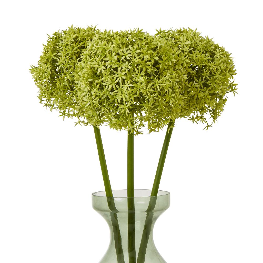 Hill Interiors Green Giant Allium Stem
