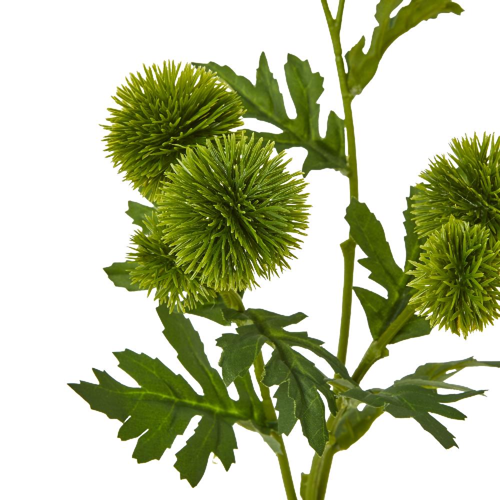 hill interiors Green Globe Thistle Spray
