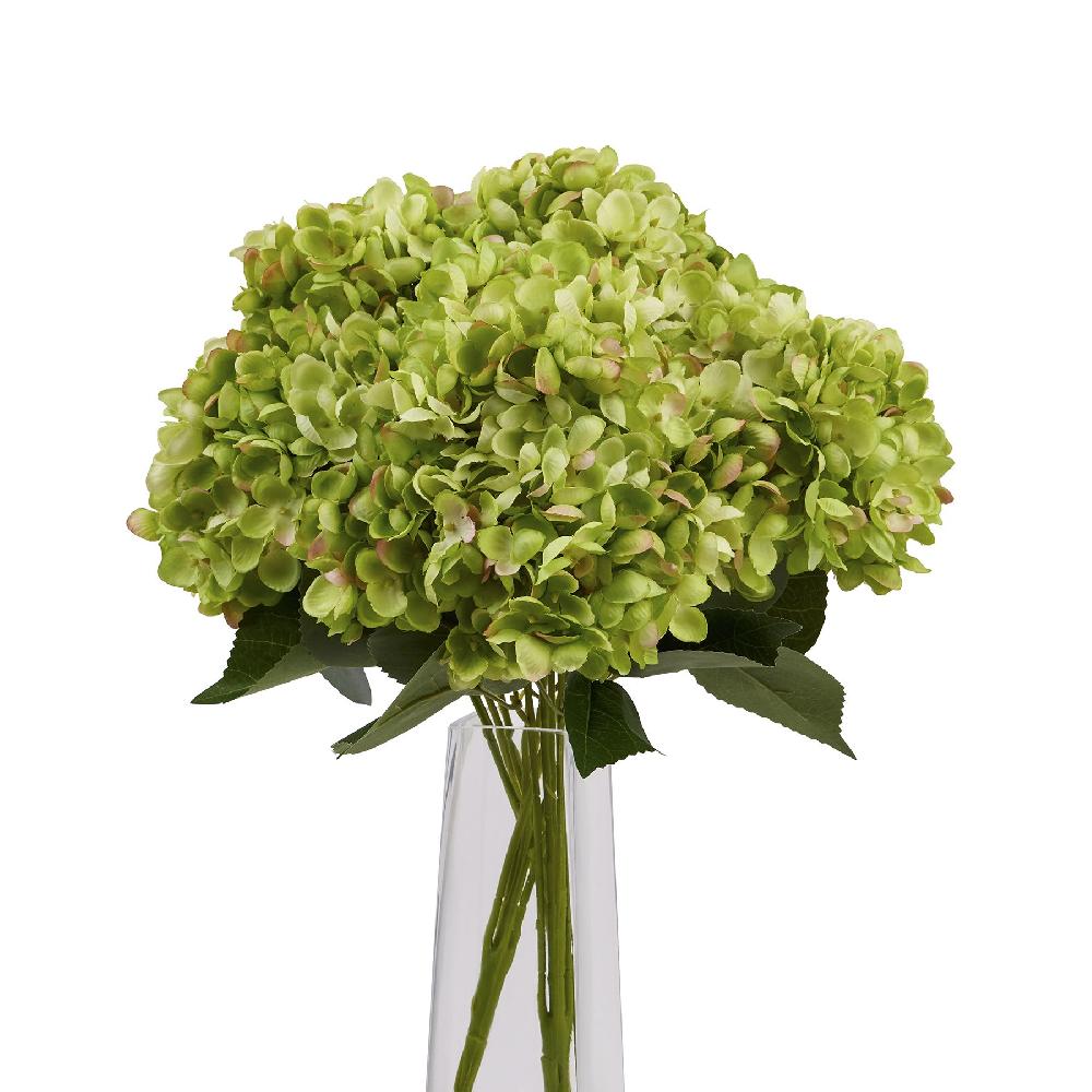 Hill Interiors Green Hydrangea Bunch