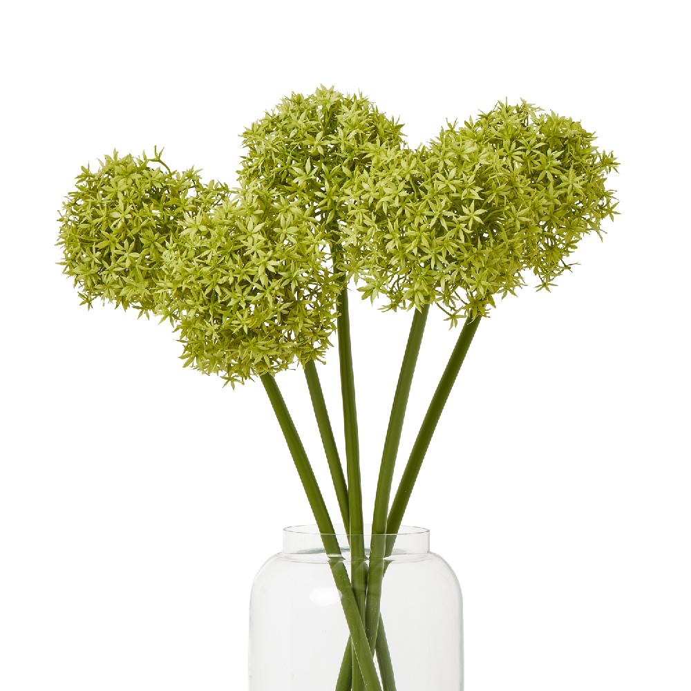 Hill Interiors Green Medium Allium Stem