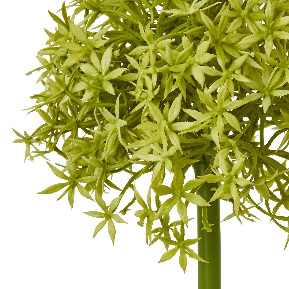 hill interiors Green Medium Allium Stem