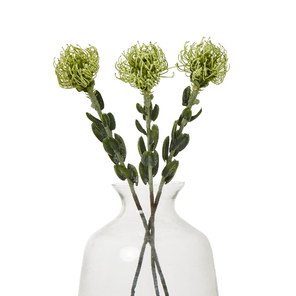 Hill Interiors Green Pincushion Protea Spray
