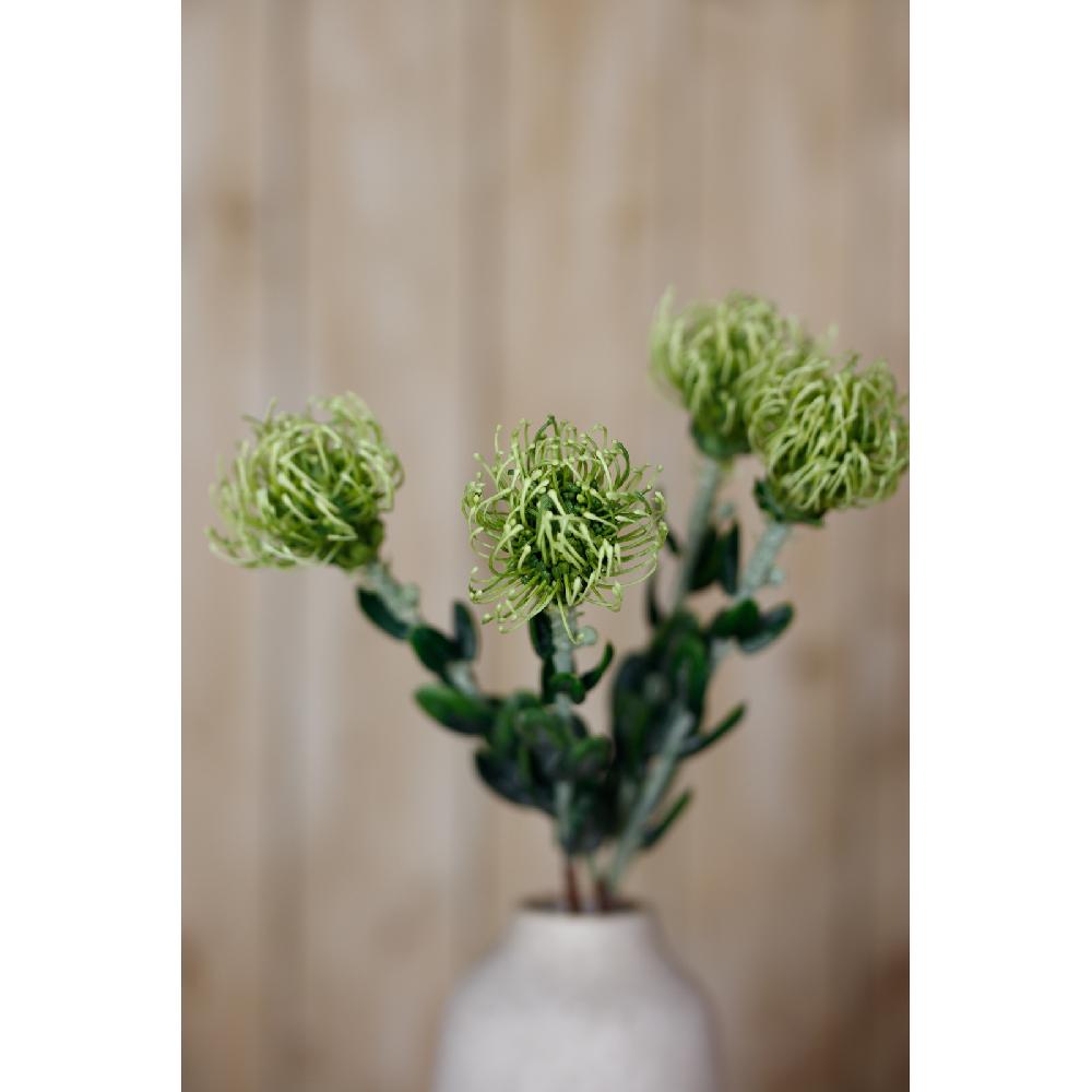 Hill Interiors Green Pincushion Protea Spray