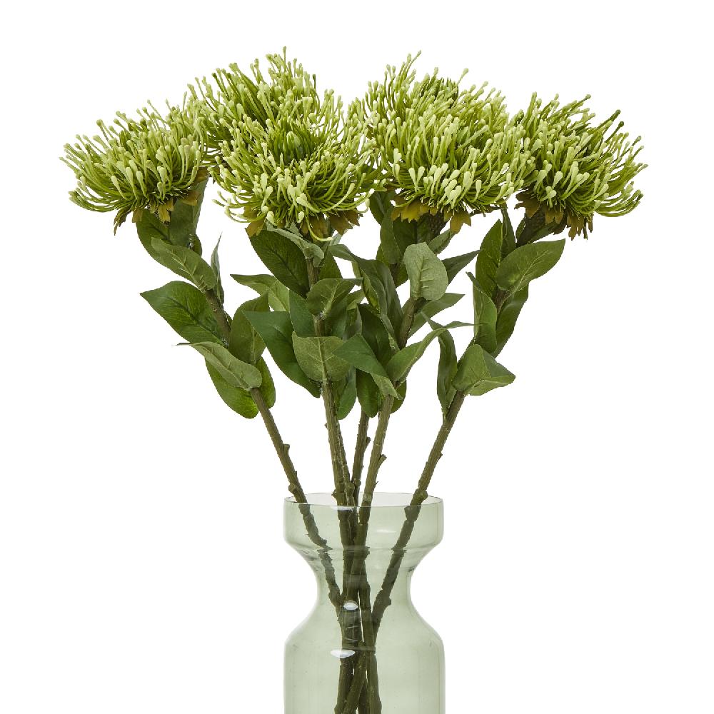 Hill Interiors Green Protea Lorea Stem