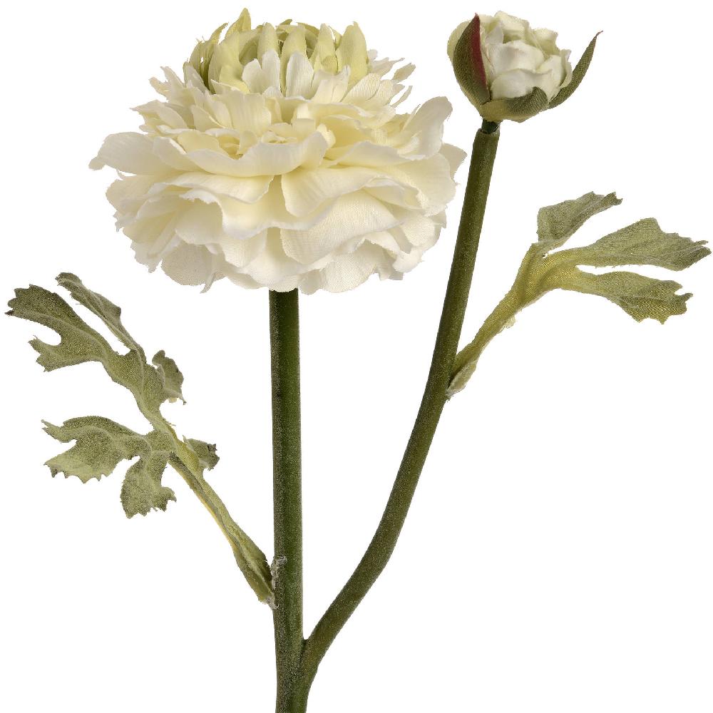 Hill Interiors Green Ranunculus Spray