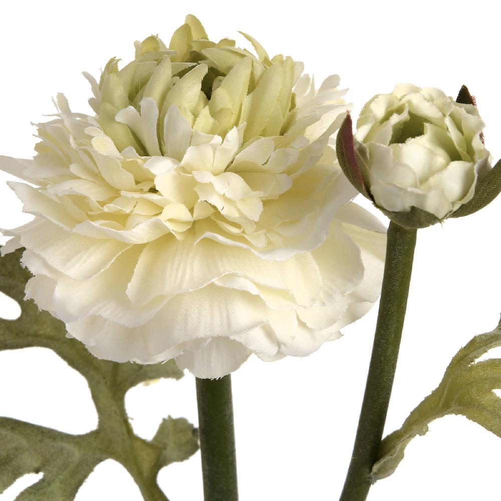 Hill Interiors Green Ranunculus Spray